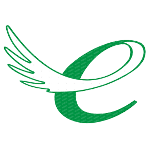 لوگو شرکت کارتینگ ابتکار خودرو